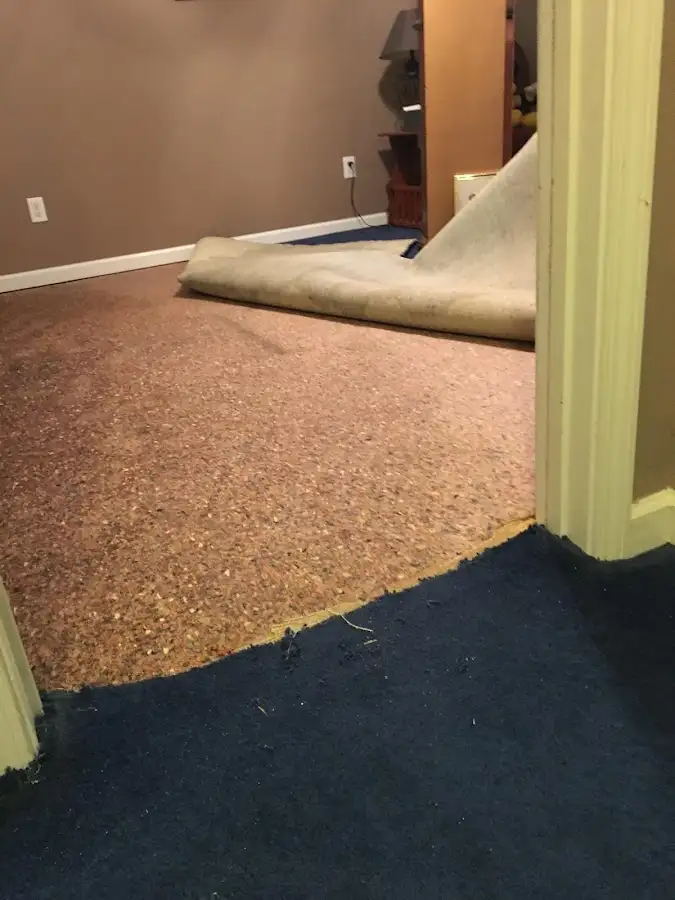 Carpet pad removal revealing water damage during Water Mitigation Services in Washington