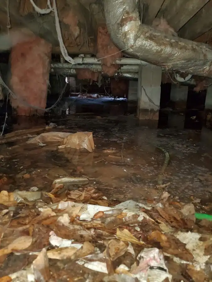 Crawl space flood assessment for Leak Detection & Repair in Washington