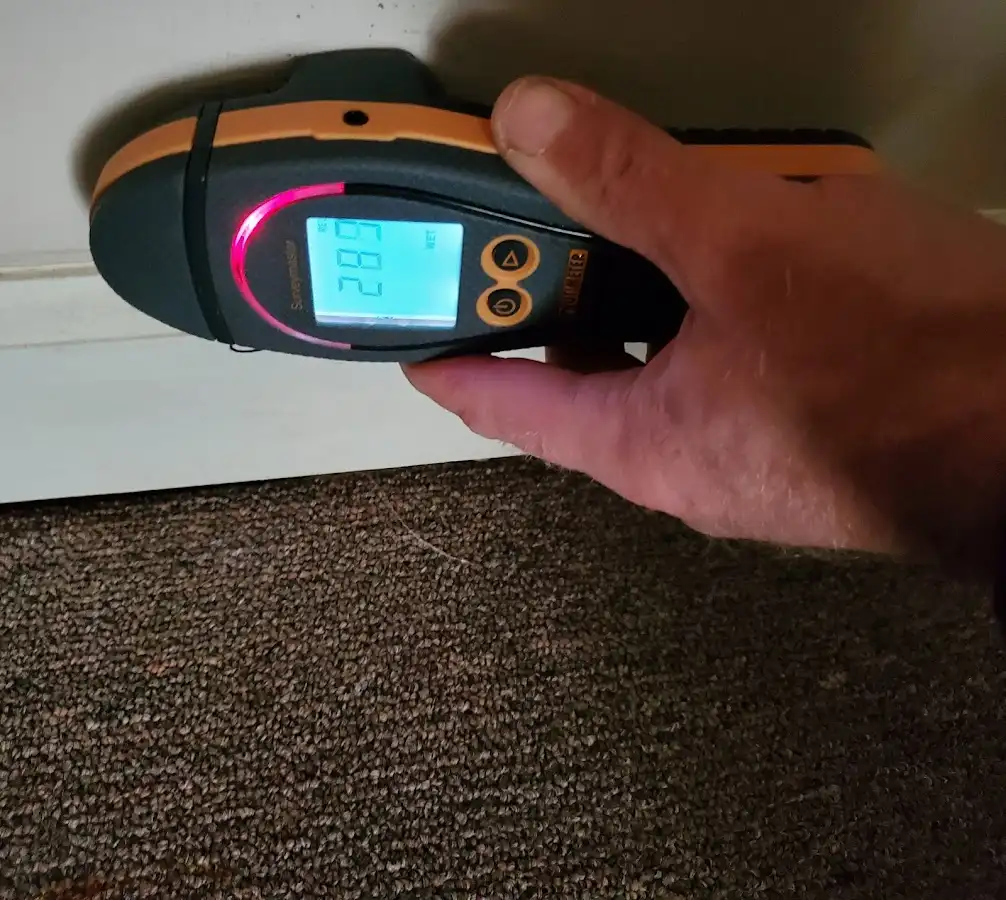 Moisture detection at baseboard during Mold Inspection & Testing in Washington